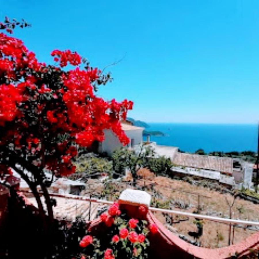 Traditional Panoramic Sea View House Lákones Екстериор снимка